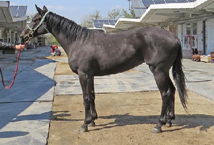 ������Ÿ ����