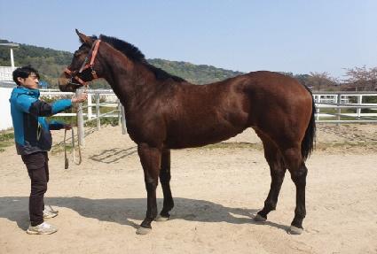 �帲���ڽ� ����