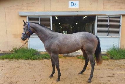 �ذ��߰� ����