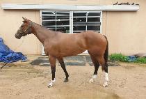 ���̽����� (ICE DANCE) ����