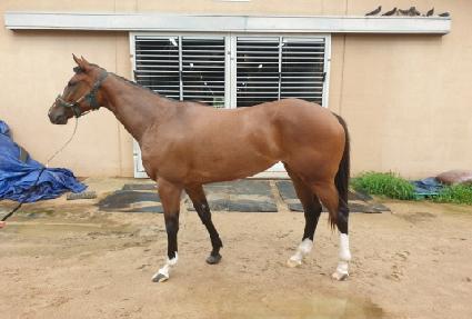 ���̽����� ����