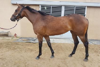 �����ʰ� ����