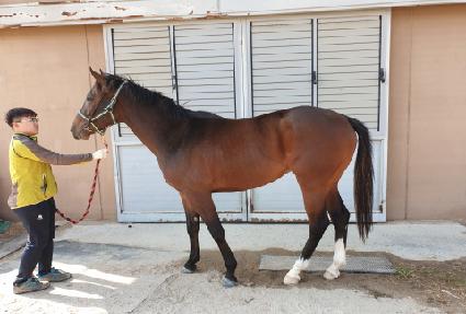 ŷ�Ҹ� ����