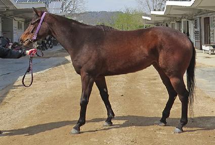 ����Ʈ�� ����