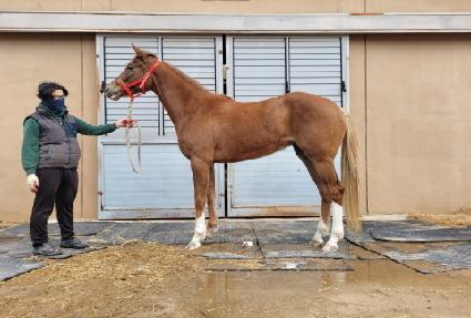 �Ծȹ��� ����