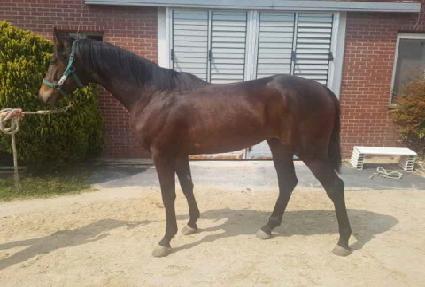 ���ٺ��� ����