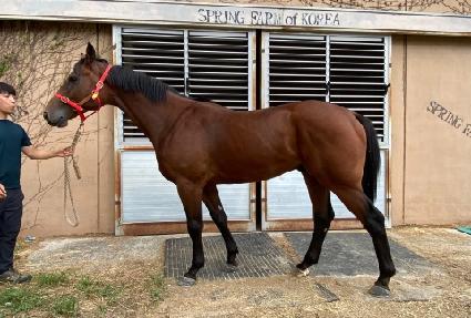 ���� ����