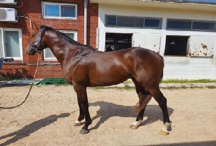 ��ȣ�� ����