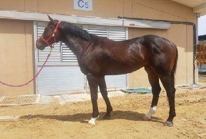 ��ȣ���� ����