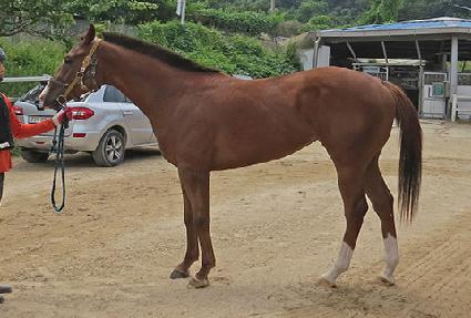 �̽�Ʈ���� ����