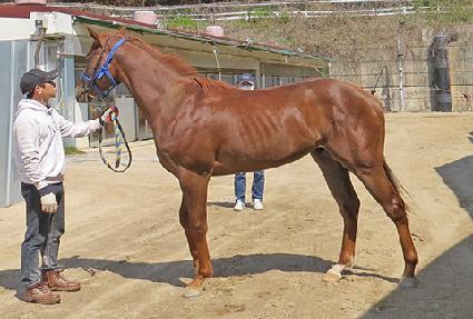 �������� ����