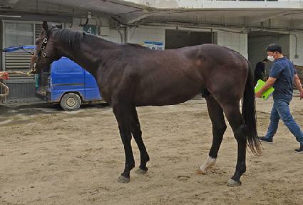 ġ���ε� ����