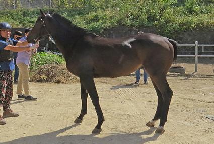 ��극���� ����