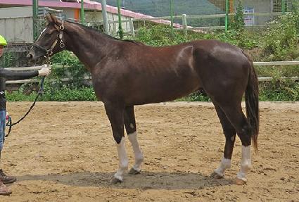 ��� ����