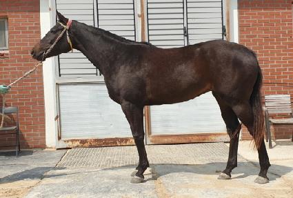 �̱ۿ��� ����