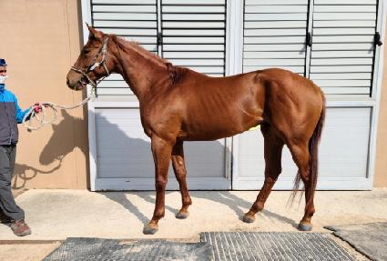 �������� ����