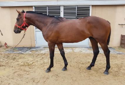 ���º�� ����