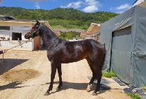 ���̽����� (ACE FOUR TEN) ����