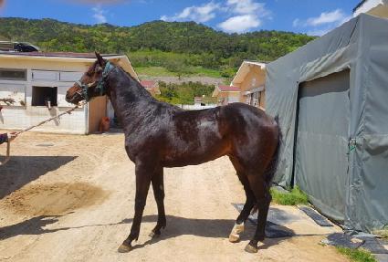 ���̽����� ����