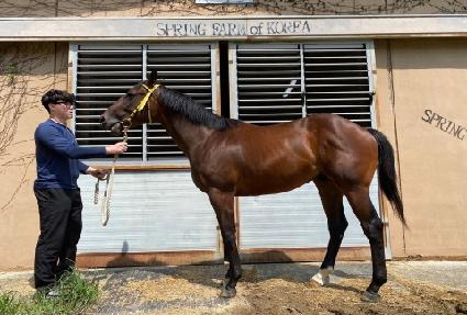 ŷ�ٸ� ����