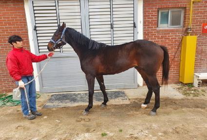 ŷ��Ƽ ����