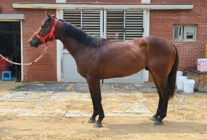 ŷ���� ����