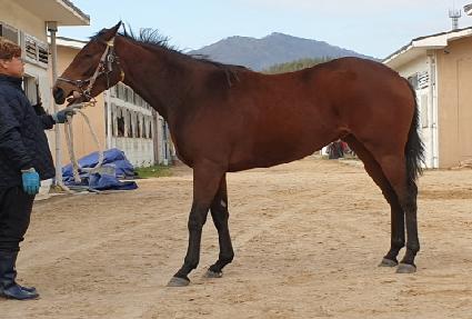 �Ŀ����� ����