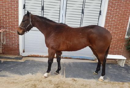 ���ǽ�ī�� ����