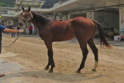 ��õ��¯ ����