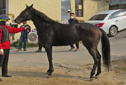 ���꿭�� ����