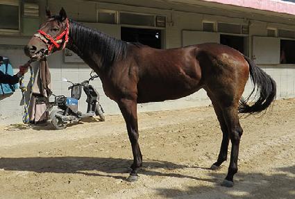 ���̾�ӽ�Ŷ ����