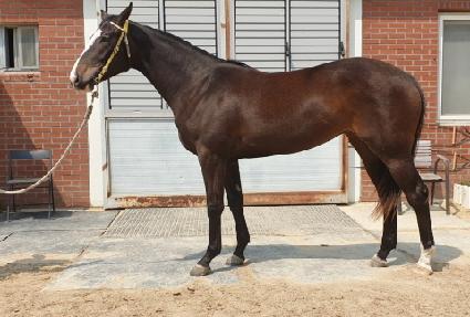 ���۽�Ʈ���� ����