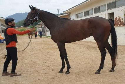 ���� ����