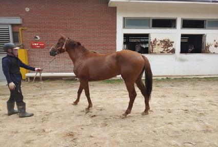 �׷������� ����