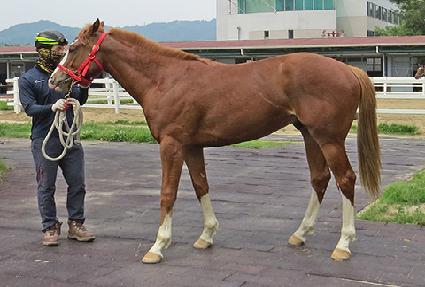 ��ٶ�� ����