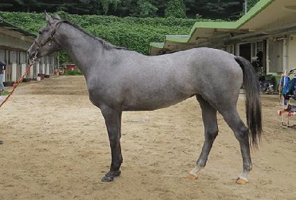 �������� ����