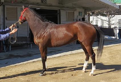 ���ǿ��� ����