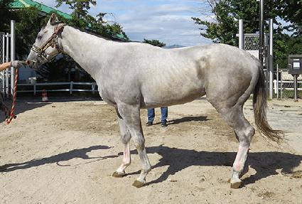 ��� ����