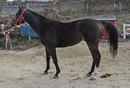 ����ô� ����