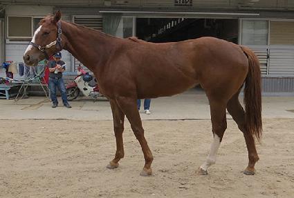 ���̿����� ����