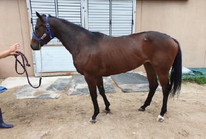 ç���������� ����