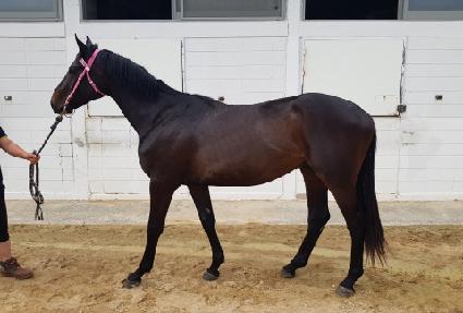 ���ī���� ����