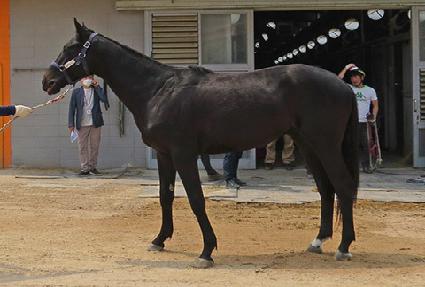 ��氡�� ����