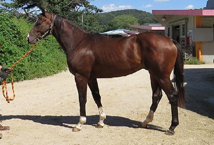 ������ ����