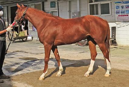 ���� ����