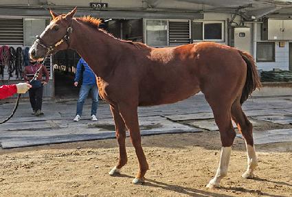 �����Ѻ� ����