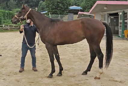 õ����� ����