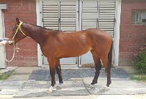 �¸��Ǳ� (SEUNGRIUI GIL) ����