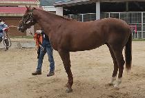 �ϰ��ʻ� (ILGYEOK PILSAL) ����