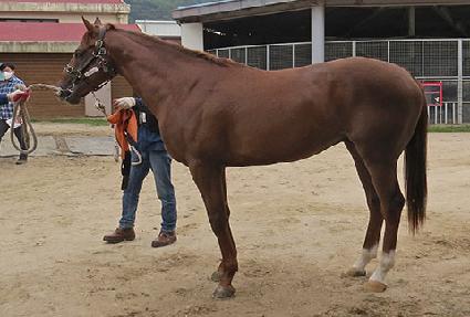 �ϰ��ʻ� ����